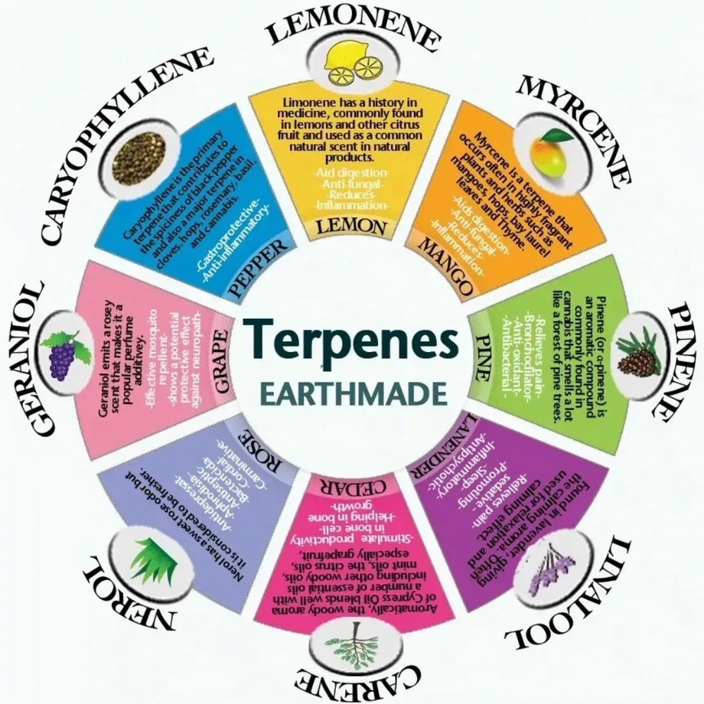 THC vs. Terpenes: Unveiling the True Essence of Cannabis